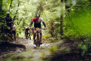 DM BIKE WORLD WORKSHOP