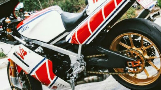 Motorkaya Champion