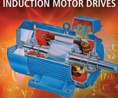 Jian Lai Xing Motor