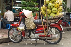 Ladin Motor 85 Ladin Motor