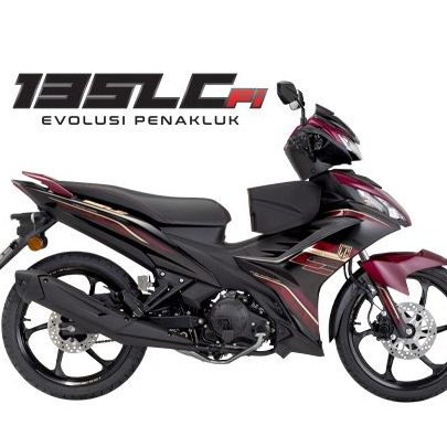 lang hong motor