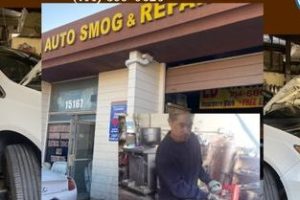 Ld Motor Auto Services