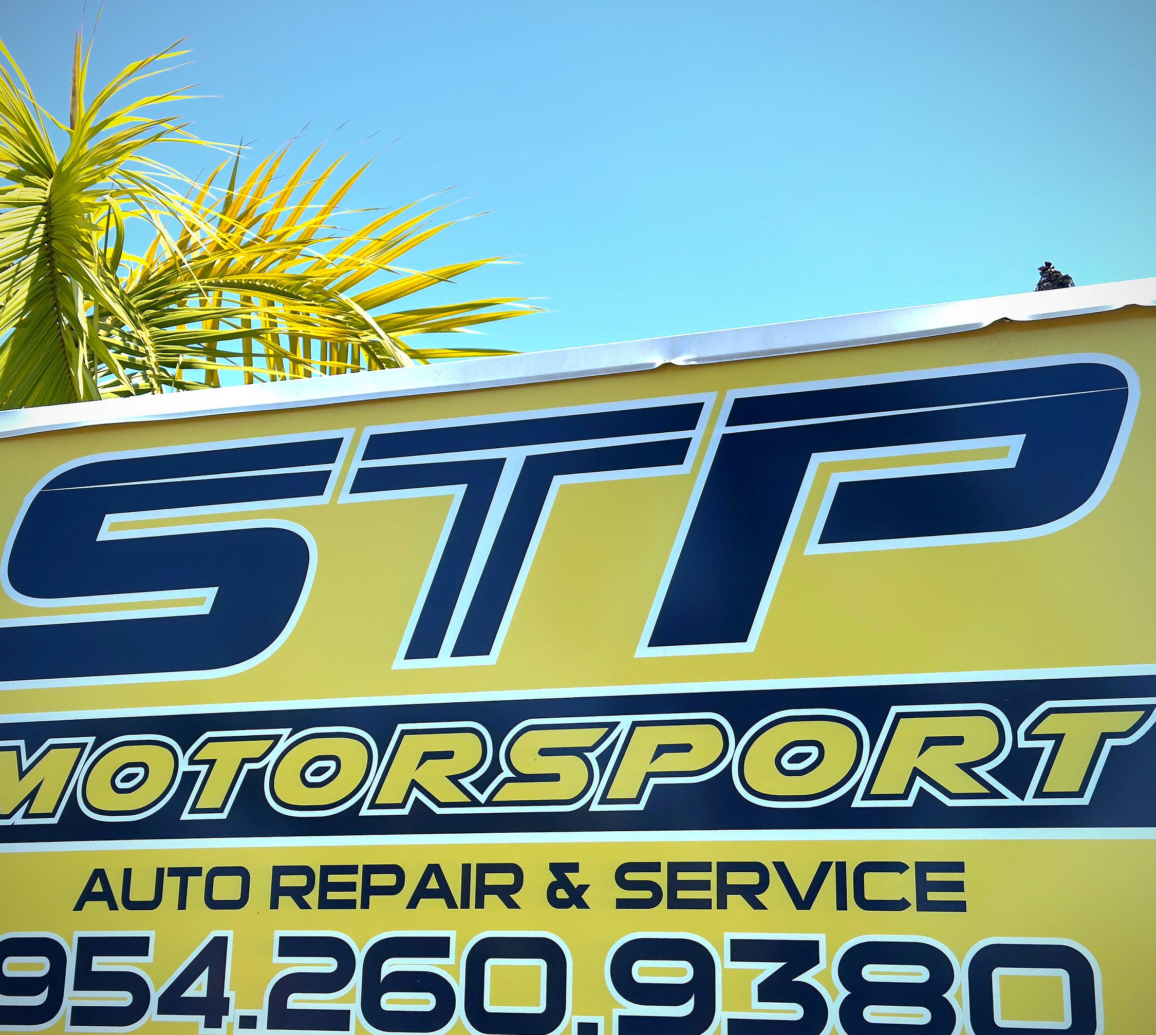 stp motorsport