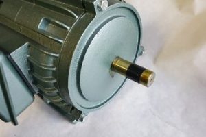 Chin’s Electric Motor
