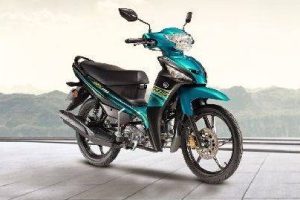 United Eng Hong Enterprise Sdn. Bhd. 6 United Eng Hong Enterprise Sdn. Bhd.