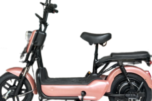 Fong Seng Motor Enterprise 3 Fong Seng Motor Enterprise