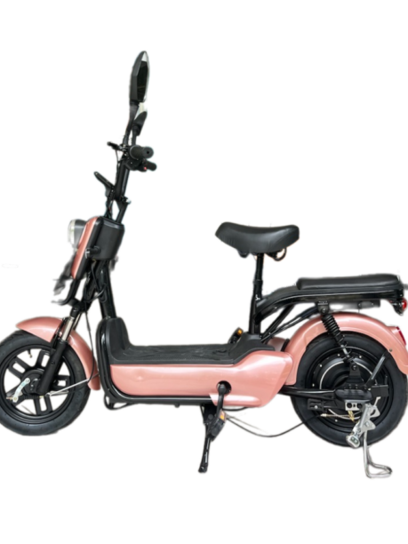 fong seng motor enterprise